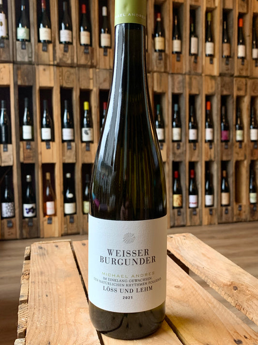 Weisser Burgunder Löss und Lehm 2023 Michael Andres Pfalz/Bio