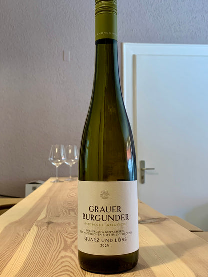 Grauer Burgunder Quarz und Löss 2025 Michael Andres Pfalz/Bio