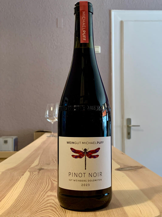 Pinot Noir 2023 IGT Weinberg Dolomiten Michael Puff Südtirol