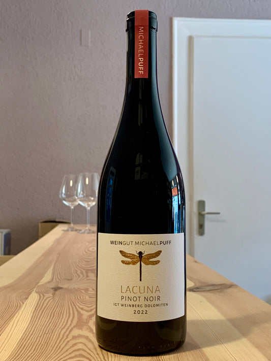 Lacuna Pinot Noir 2022 IGT Weinberg Dolomiten Michael Puff Südtirol