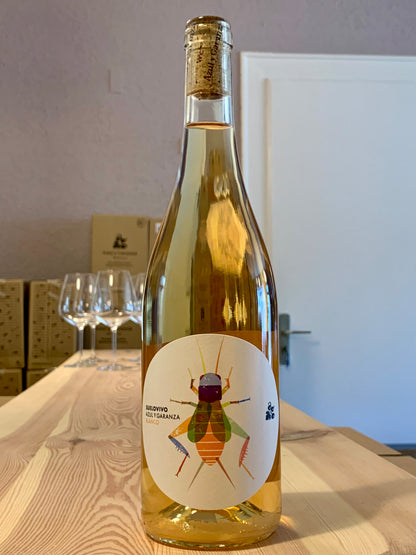 Suelo Vivo Blanco 2025 Azul y Garanza Navarra