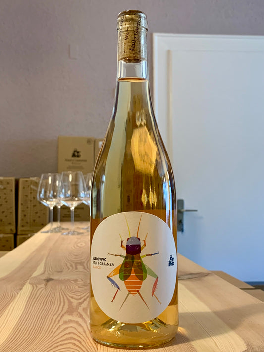 Suelo Vivo Blanco 2025 Azul y Garanza Navarra